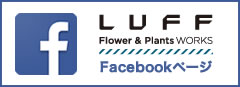 LUFF facebook